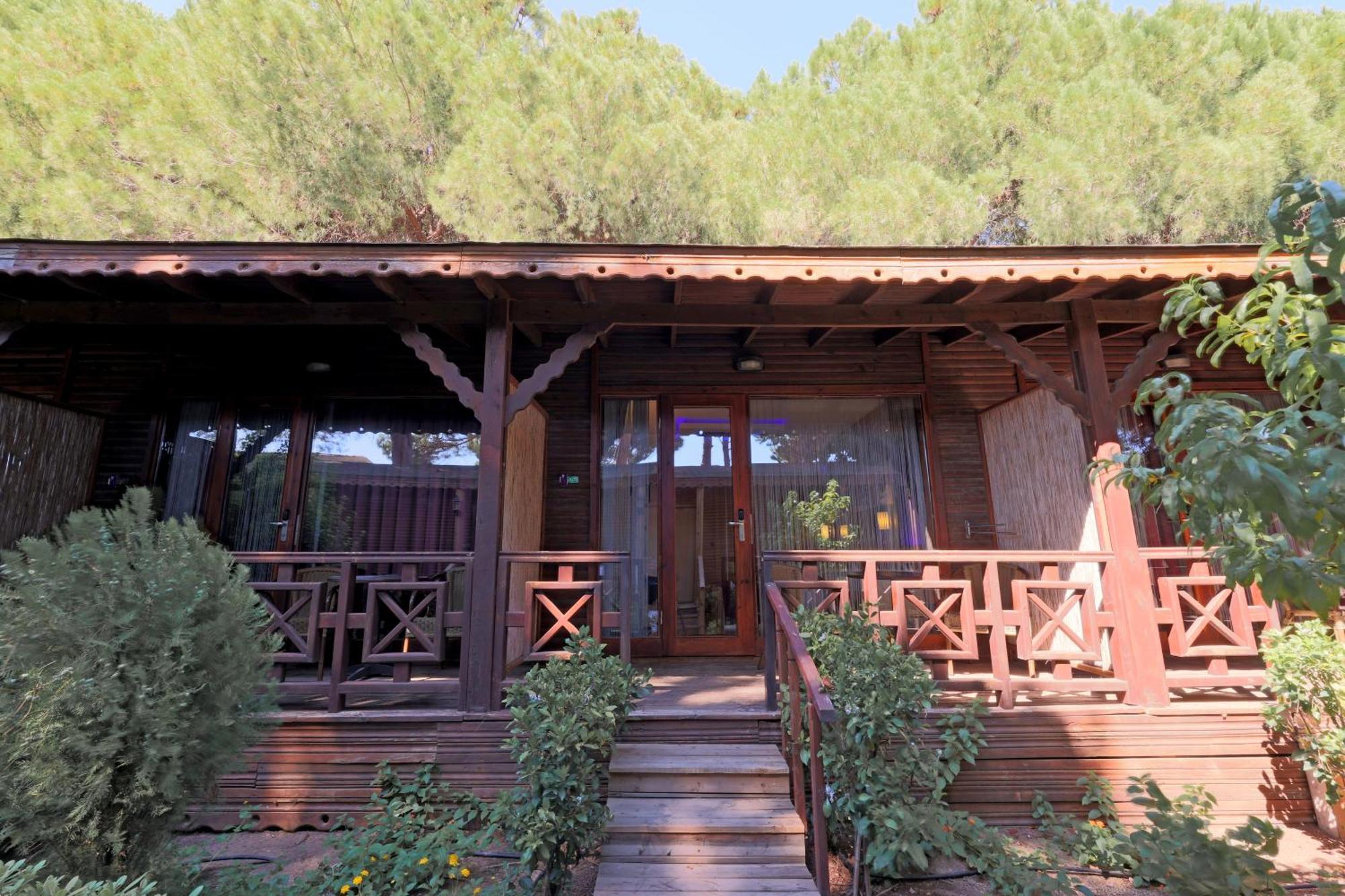 Flora Garden Beach Hotel - Adults Only 16 Plus - Couples Concept Kızılot 外观 照片